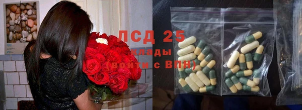 стаф Богородск